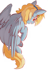 Fair Flyer in the sky